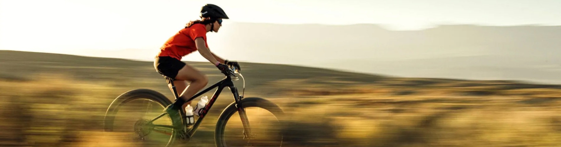 De BikeStore