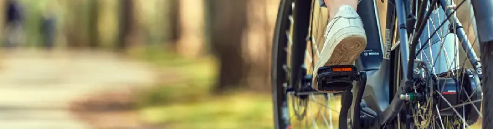 De BikeStore