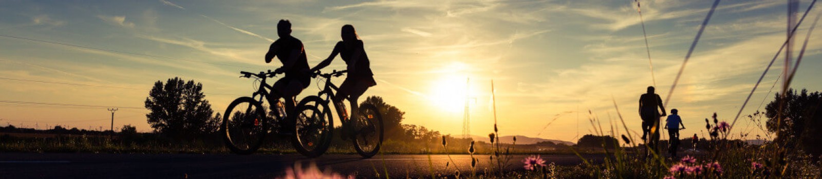 De BikeStore