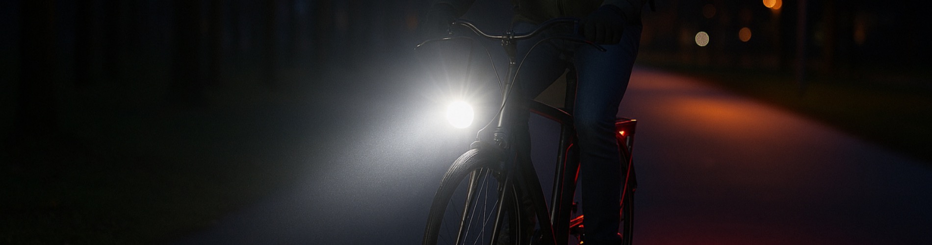 De BikeStore