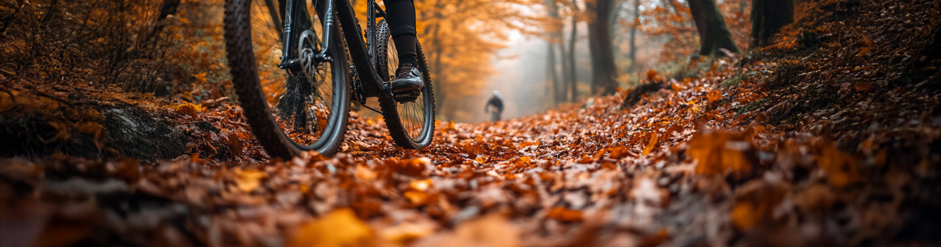 De BikeStore
