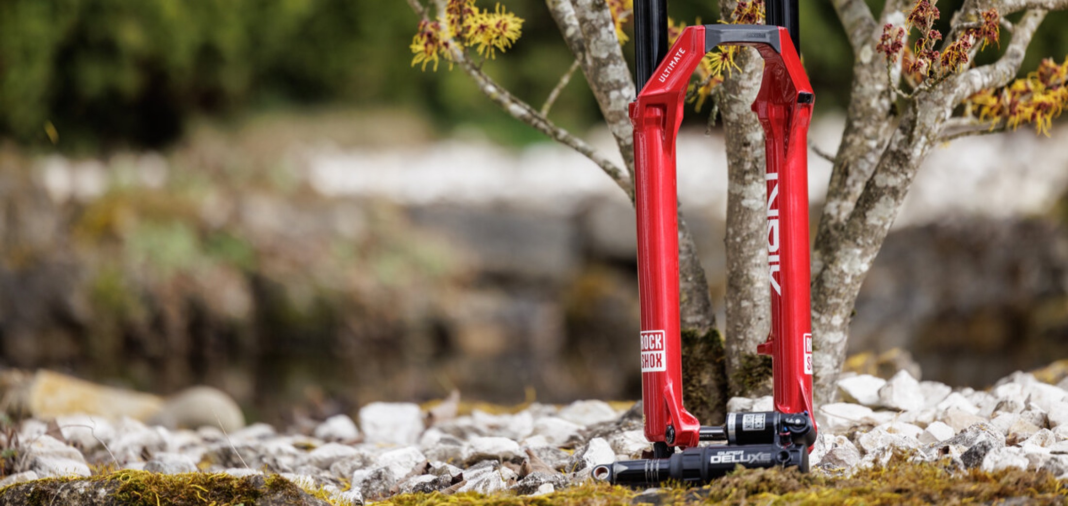 De BikeStore